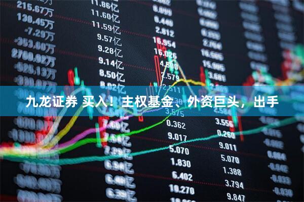 九龙证券 买入！主权基金、外资巨头，出手
